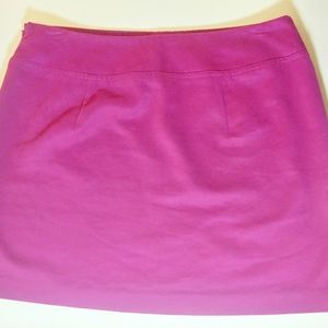 Microfiber Mini Skirt